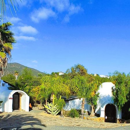 バジェ・デ・グアダルーペ Hacienda Eco-Domesヴィラ エクステリア 写真