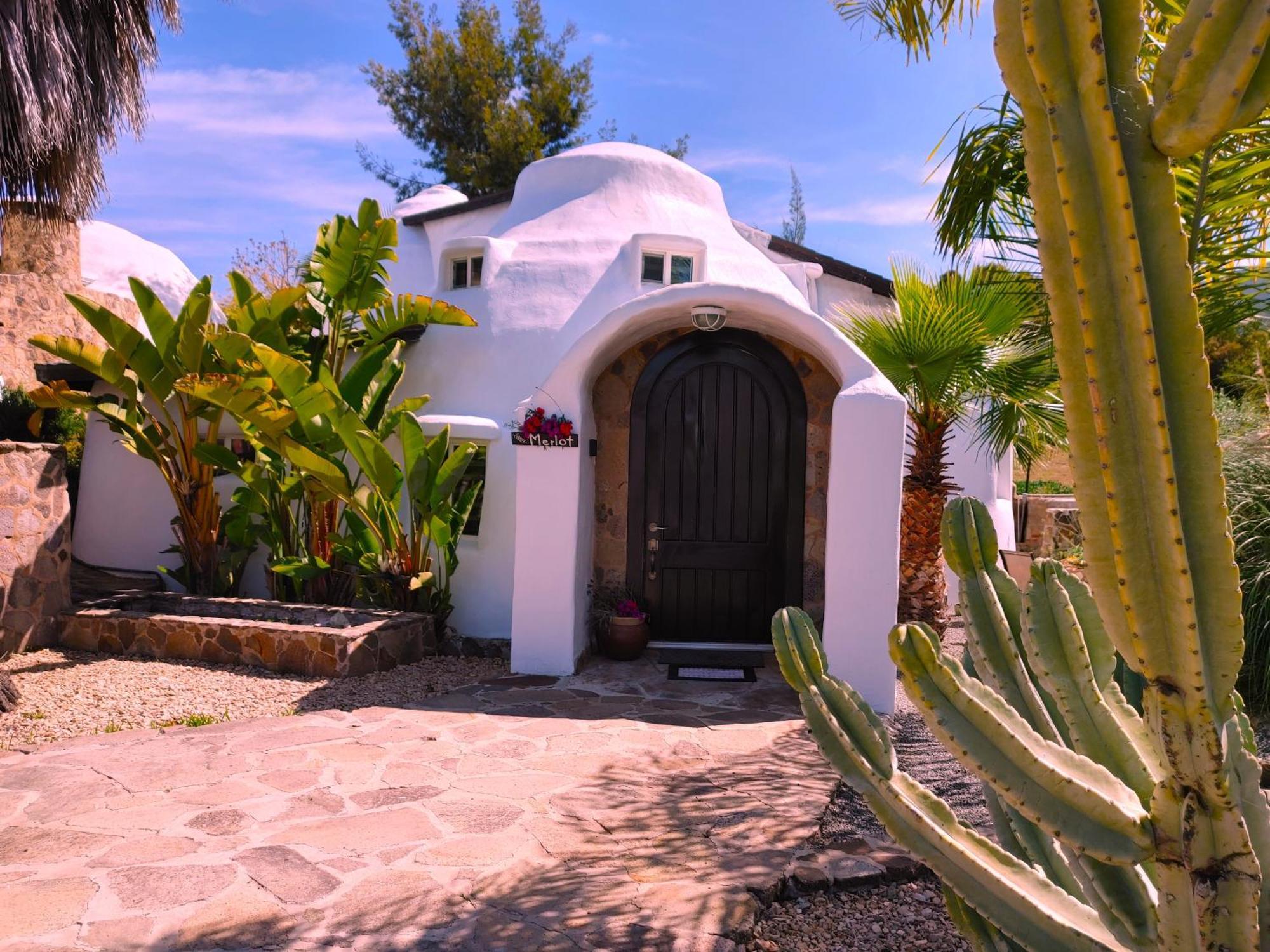 バジェ・デ・グアダルーペ Hacienda Eco-Domesヴィラ エクステリア 写真