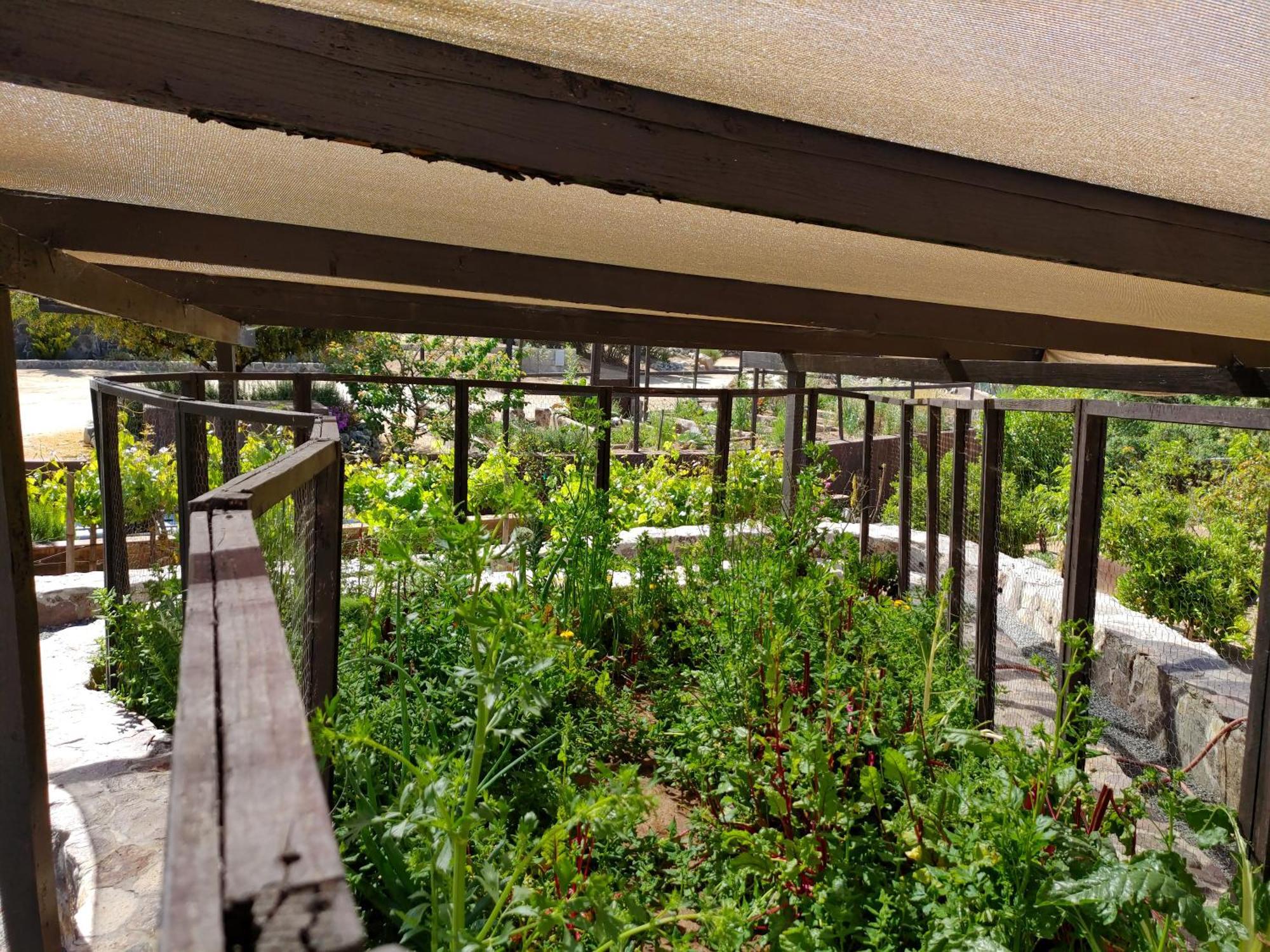 バジェ・デ・グアダルーペ Hacienda Eco-Domesヴィラ エクステリア 写真