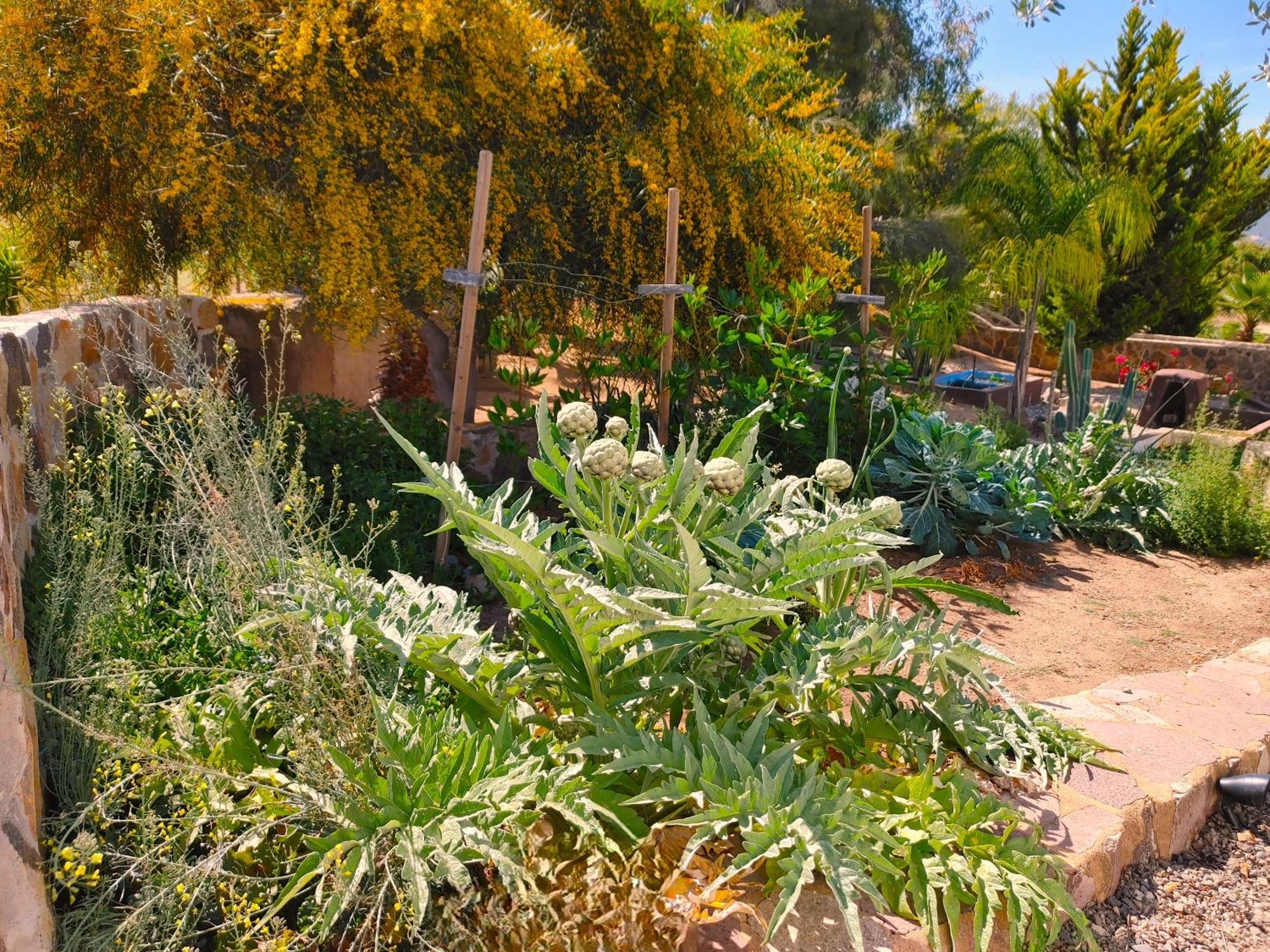バジェ・デ・グアダルーペ Hacienda Eco-Domesヴィラ エクステリア 写真