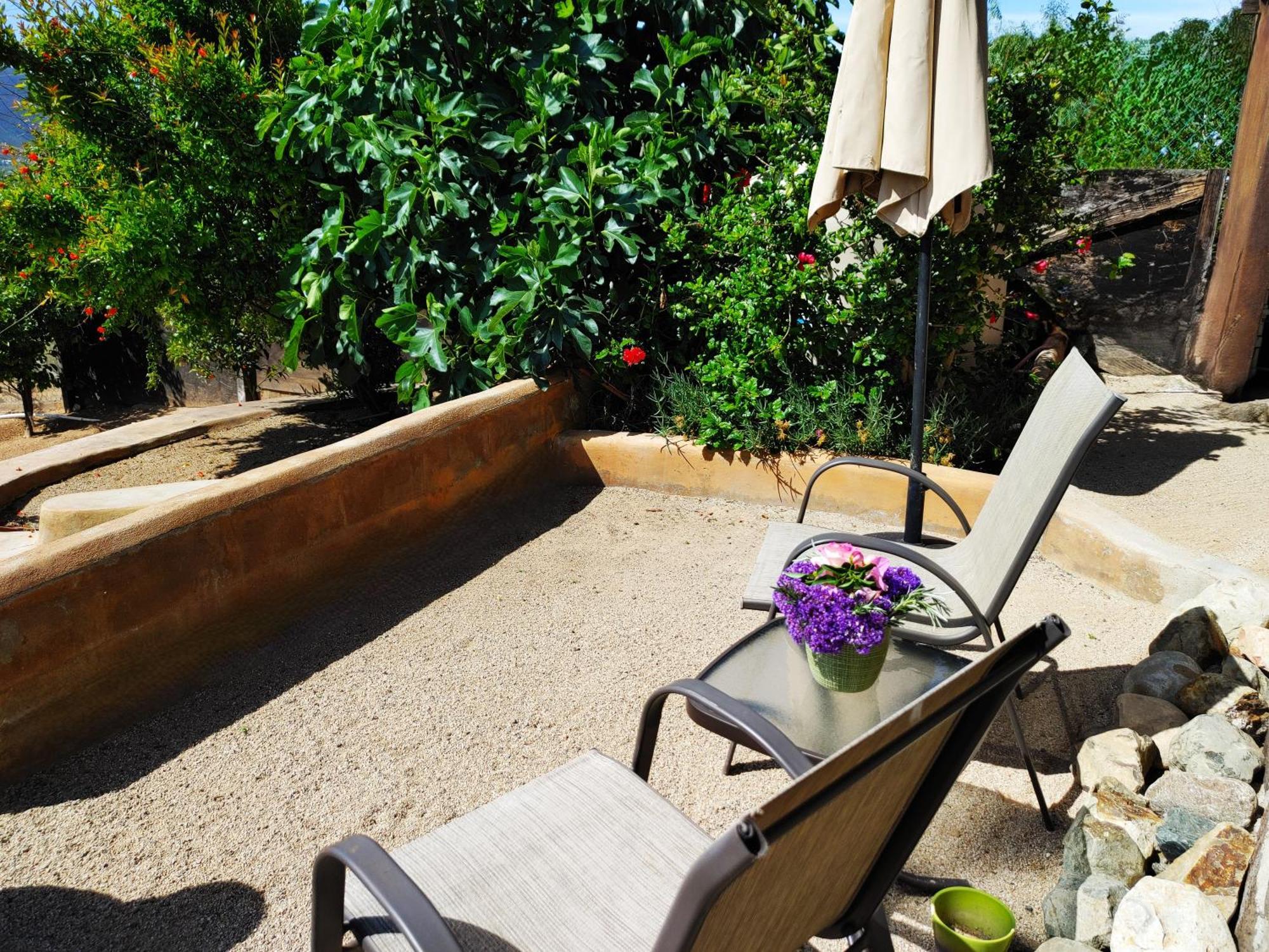 バジェ・デ・グアダルーペ Hacienda Eco-Domesヴィラ エクステリア 写真