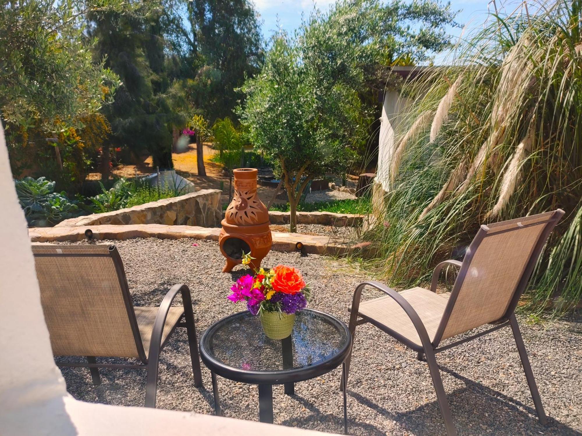 バジェ・デ・グアダルーペ Hacienda Eco-Domesヴィラ エクステリア 写真