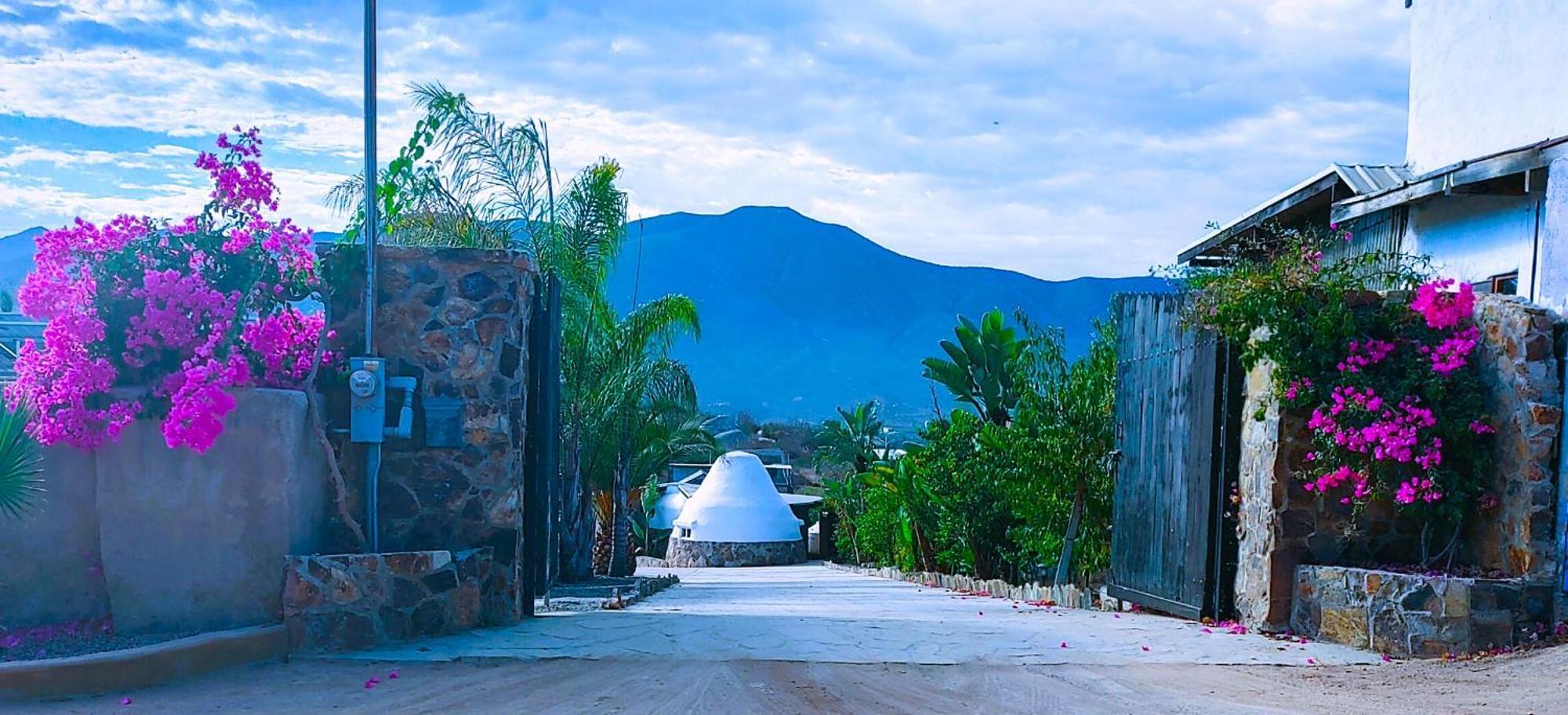 バジェ・デ・グアダルーペ Hacienda Eco-Domesヴィラ エクステリア 写真