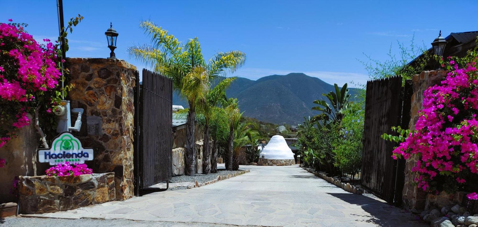 バジェ・デ・グアダルーペ Hacienda Eco-Domesヴィラ エクステリア 写真